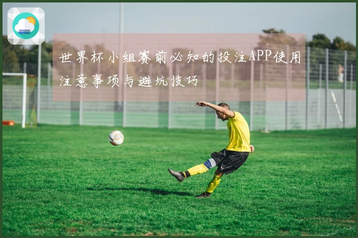 世界杯小组赛前必知的投注APP使用注意事项与避坑技巧
