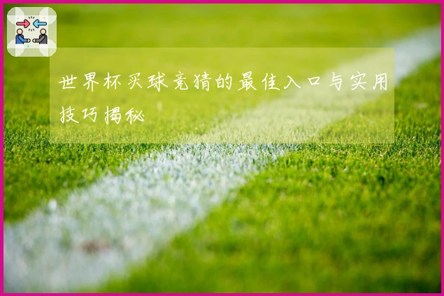 世界杯买球竞猜的最佳入口与实用技巧揭秘