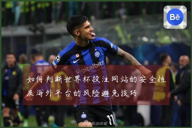 如何判断世界杯投注网站的安全性及海外平台的风险避免技巧
