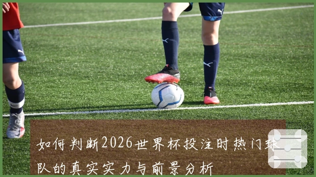 如何判断2026世界杯投注时热门球队的真实实力与前景分析