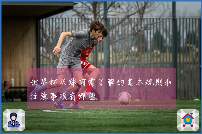 世界杯买球前需了解的基本规则和注意事项有哪些