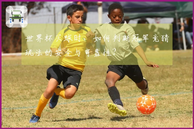 世界杯买球时，如何判断冠军竞猜玩法的安全与可靠性？