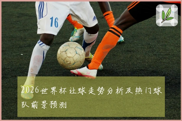2026世界杯让球走势分析及热门球队前景预测