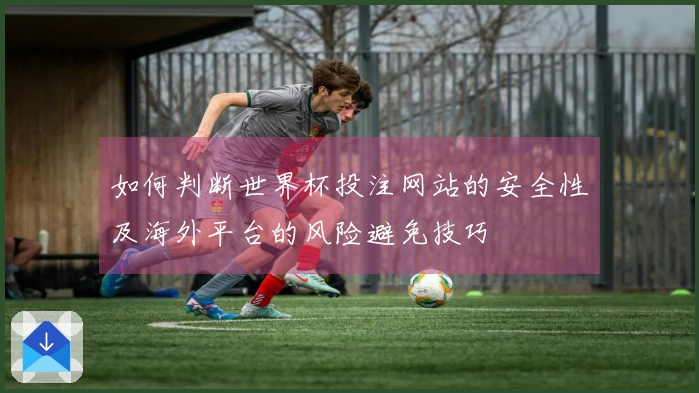 如何判断世界杯投注网站的安全性及海外平台的风险避免技巧